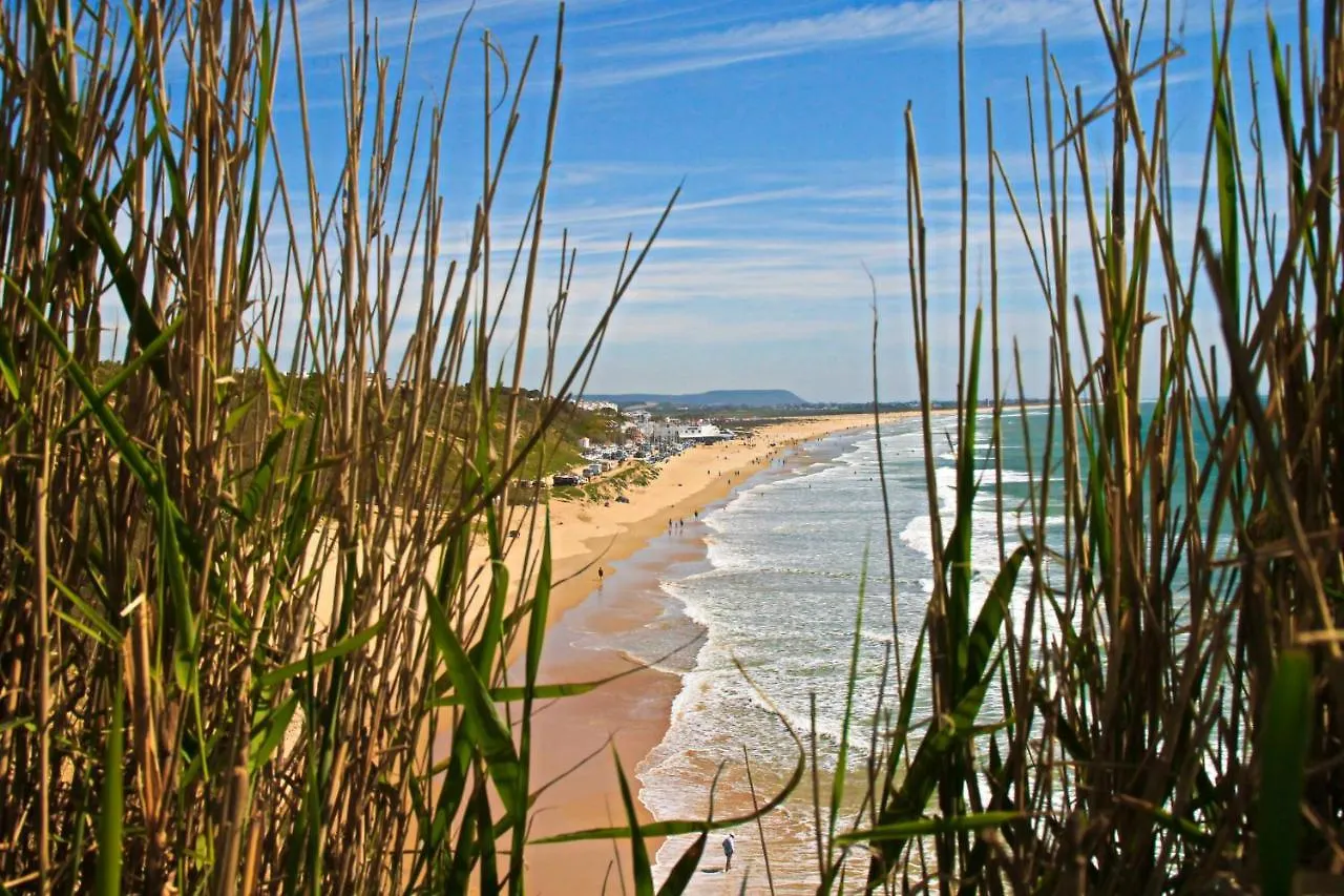 Apartamento Brezo Conil De La Frontera 0*,  Spain