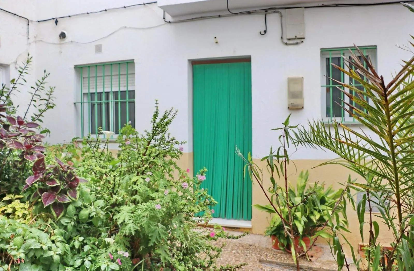 Apartamento Brezo Conil De La Frontera