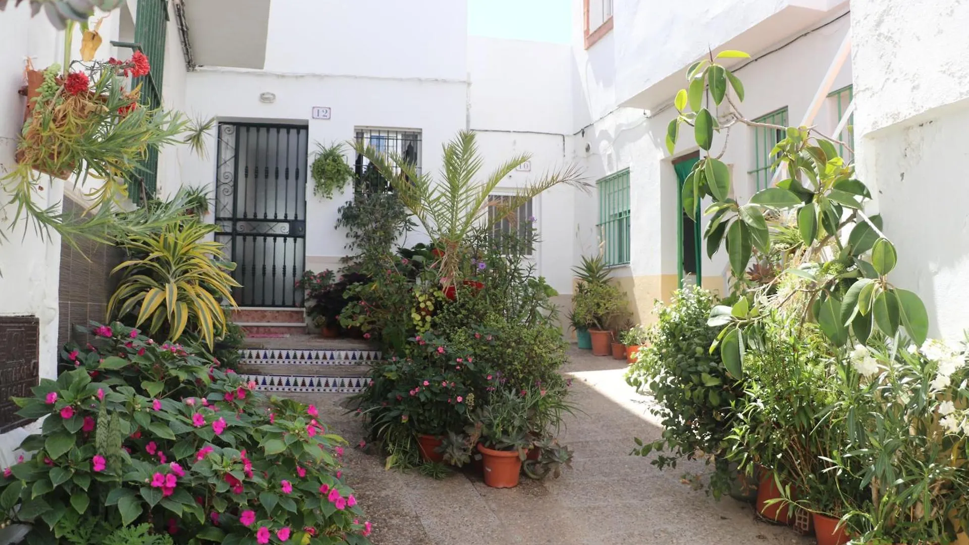 Lägenhet Apartamento Brezo Conil De La Frontera